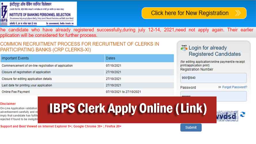 IBPS Clerk Apply Online, IBPS Clerk Recruitment 2021-2022, Bank Clerk Vacancy 2021, Notification pdf